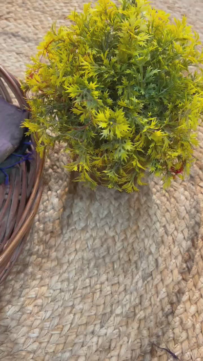 Maheshwari Saree in Handwoven Heritage Weave-098